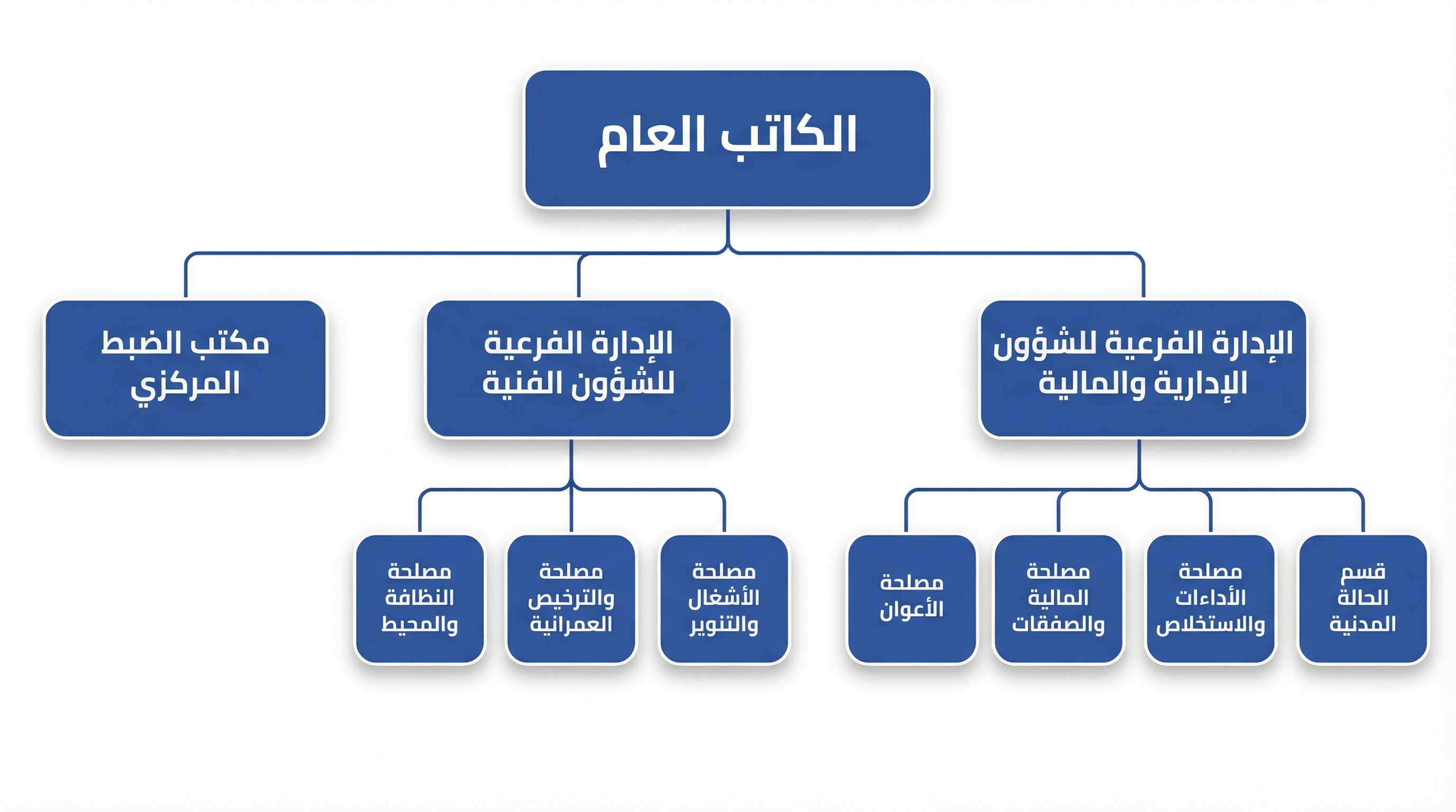 الهيكل التنظيمي